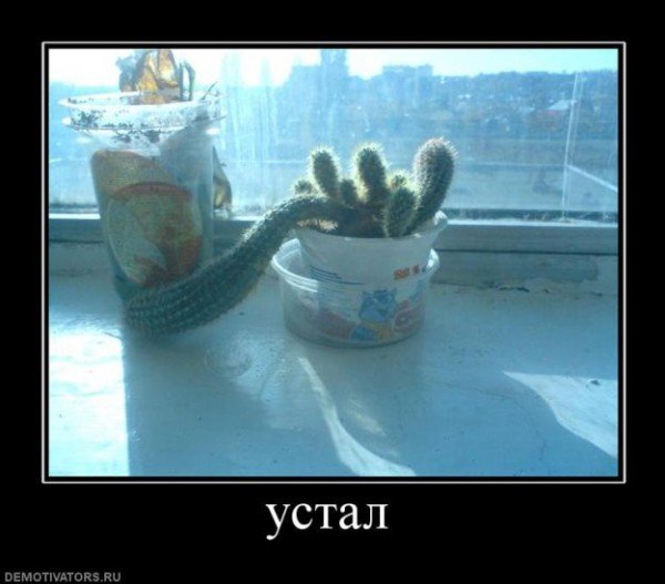 Устал демотиватор
