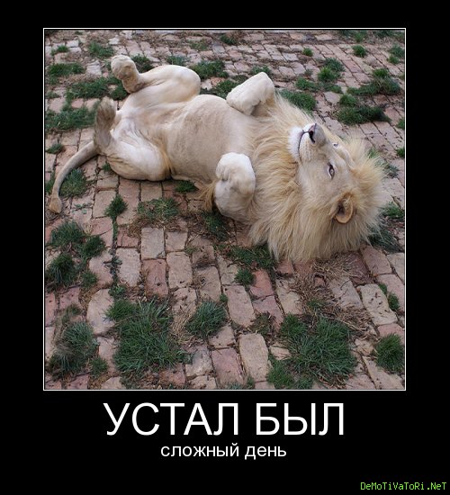 Устала демотиватор
