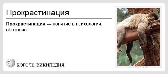 Шутки о прокрастинации