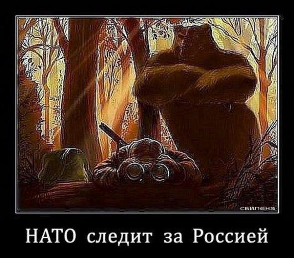 Не можешь победить возглавь