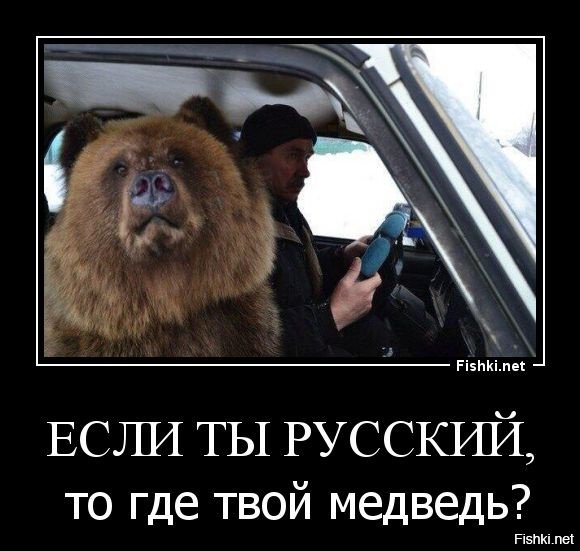Шутки про медведя