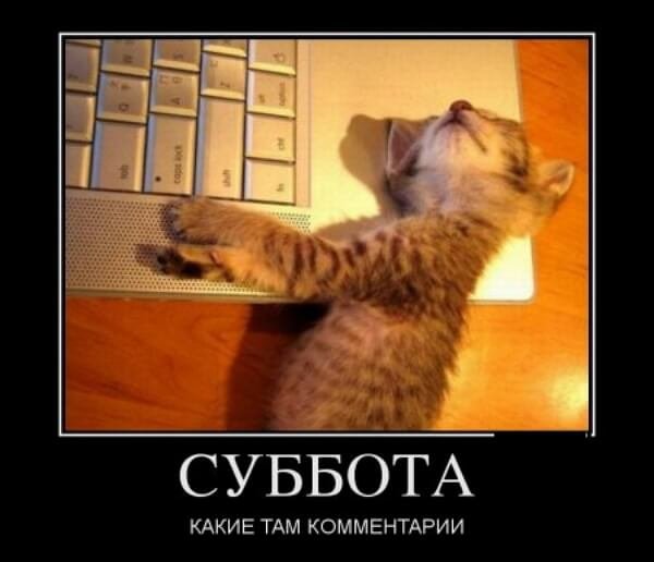 Шутки про выходные