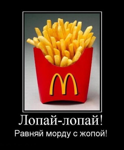 С добрым утром демотиваторы смешные