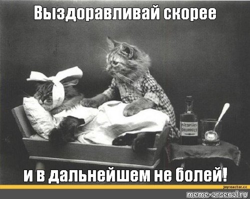 Леонид Аркадьевич Серега