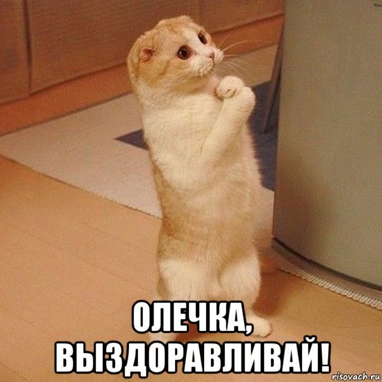 Открытки с выздоровлением прикольные