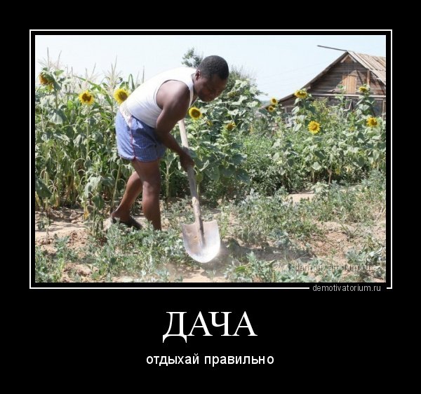 Грядки прикол