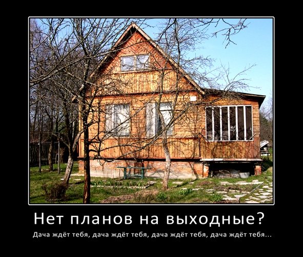 Дача юмор