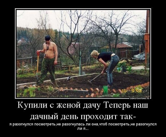 Демотиваторы на тему дачи