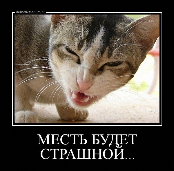 Месть кота