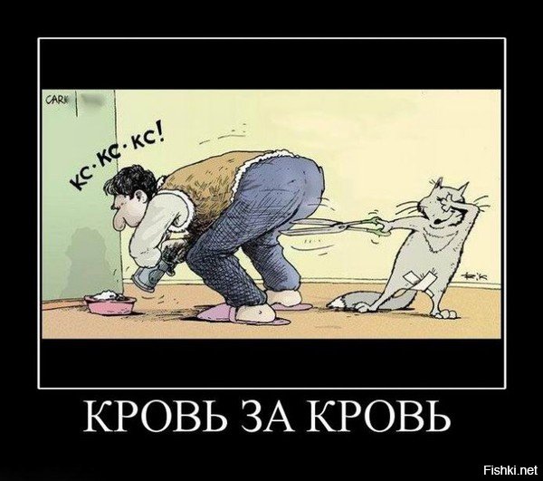 Кастрация котов приколы