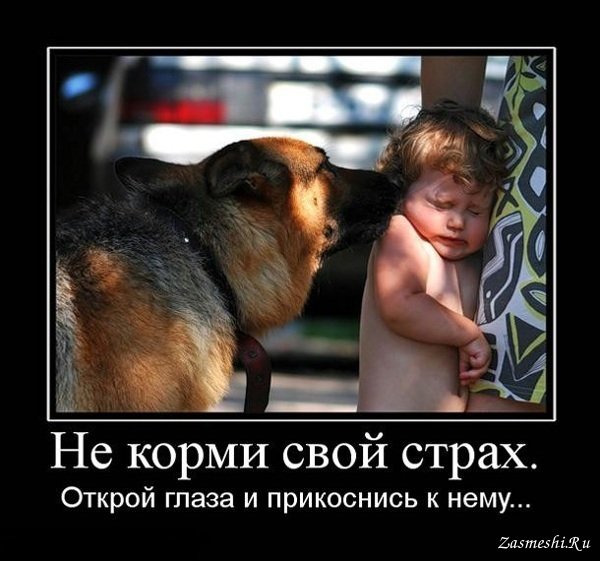 Демотиваторы смешные про животных и детей