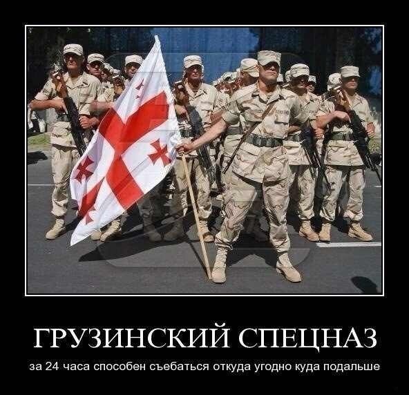 Грузия демотиваторы