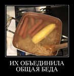 Демотиваторы с котами смешные