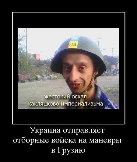Украинские демотиваторы