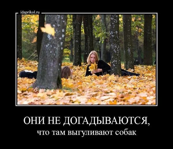 Осенняя депрессия демотиватор