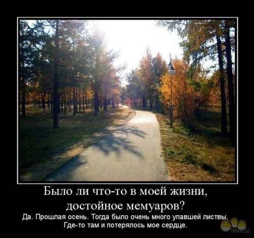 Демотиваторы начало осени