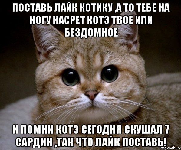 Лайкни кота