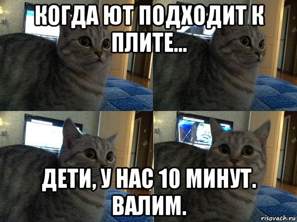 Лайкни кота Мем