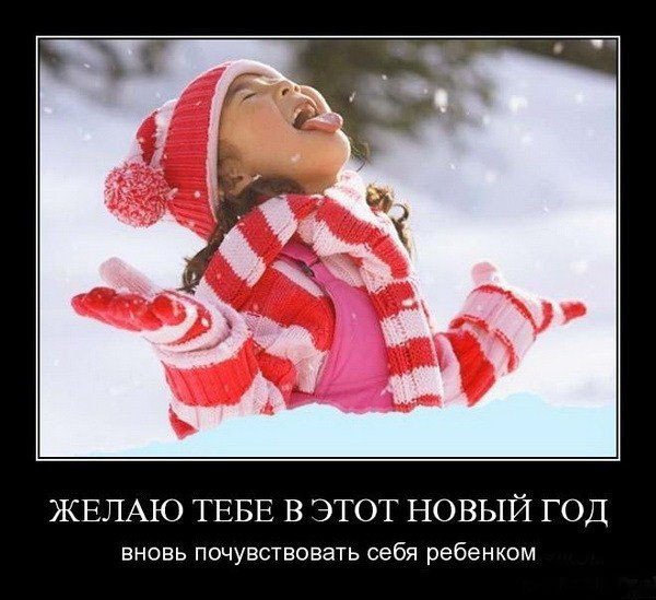Новый год приколы