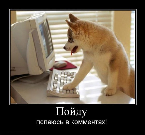 Бесплатный сыр юмор
