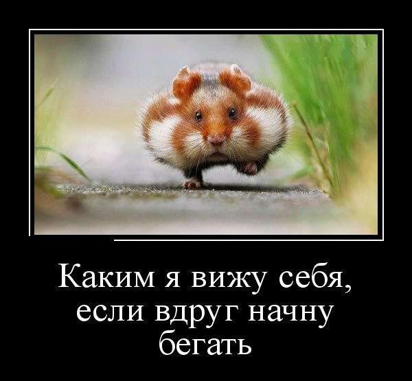Слабоумие и отвага