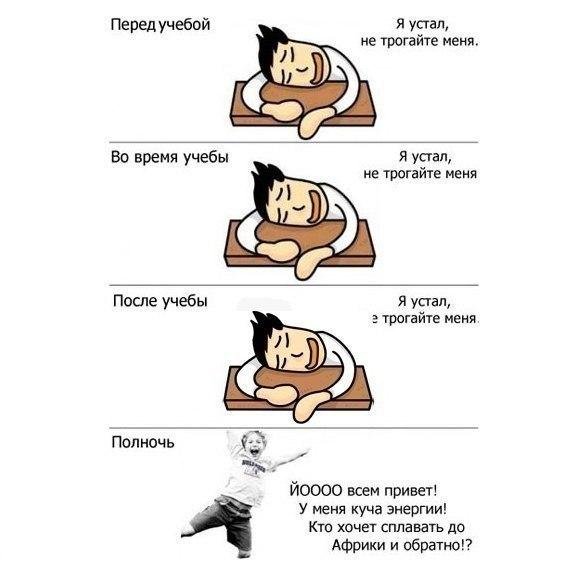 Приколы про учебу
