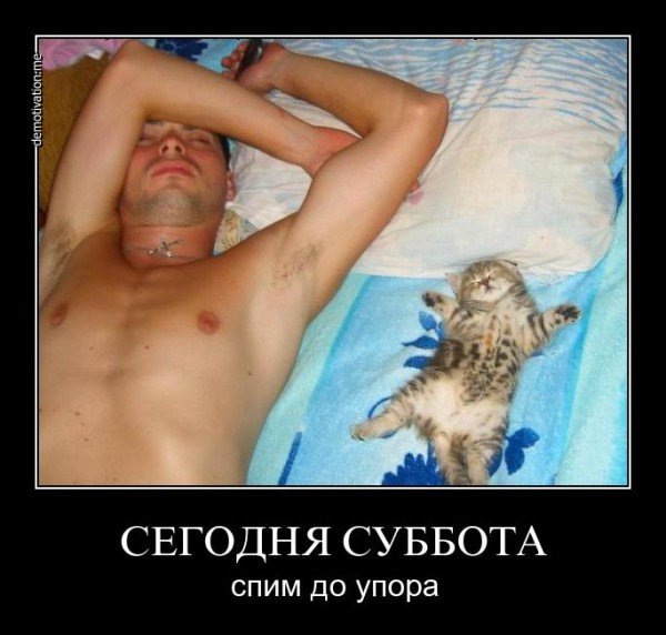 Субботнее утро демотиваторы