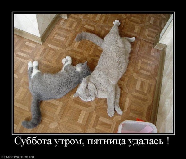 Утро после пятницы