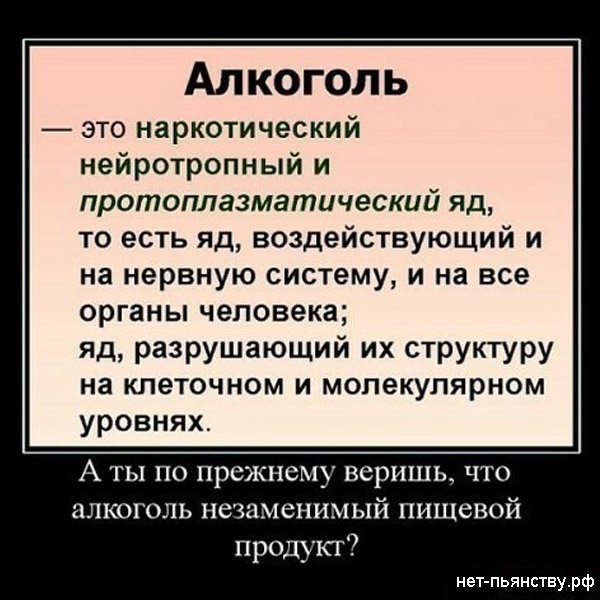 Цитаты про алкоголь
