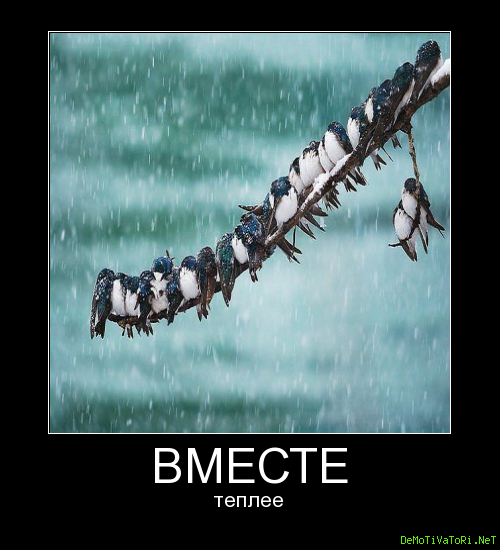 Демотиватор вместе мы сила (43 фото)