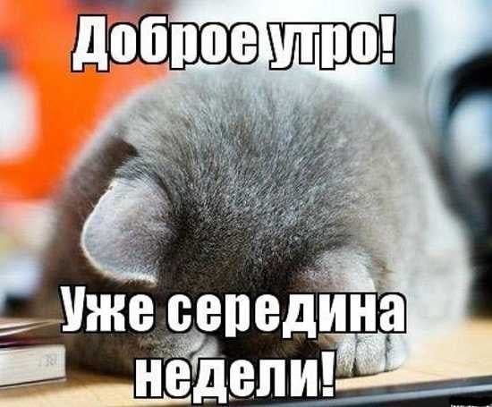 Доброе утро среда