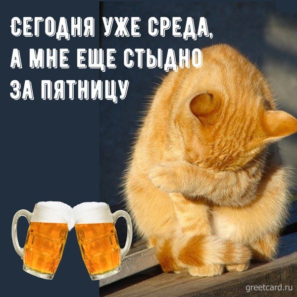 Открытки со средой прикольные