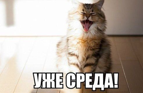Выходной среда доброе утро
