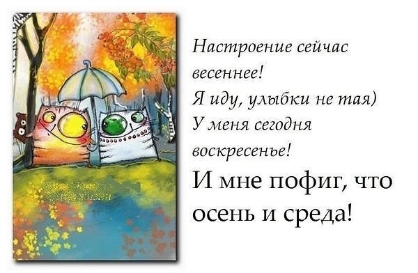 Стихи про среду смешные