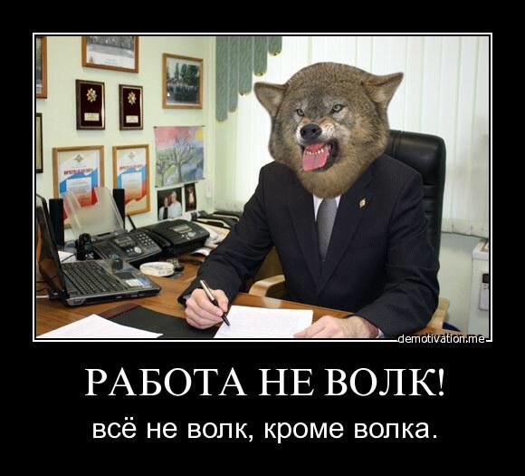 Работа не волк прикол