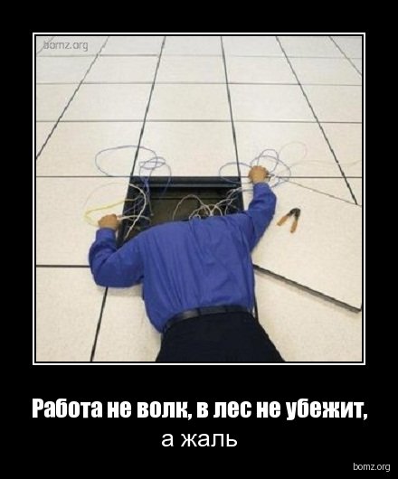 Работа Не Волк В Лес Не Убежит Картинки