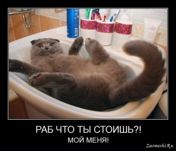 Демотиваторы про негров