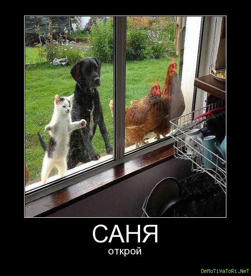 Коллекция демотиваторов (47 фото)