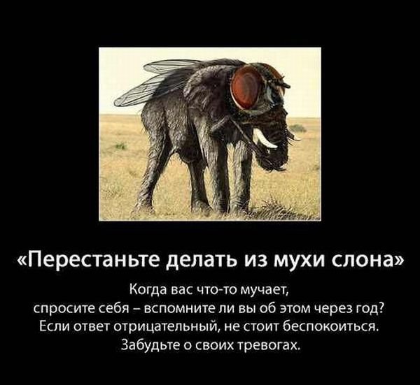 Демотиваторы советы