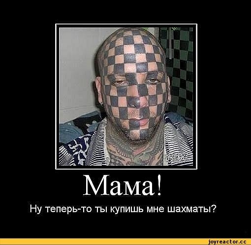 Демотиваторы на тему тату