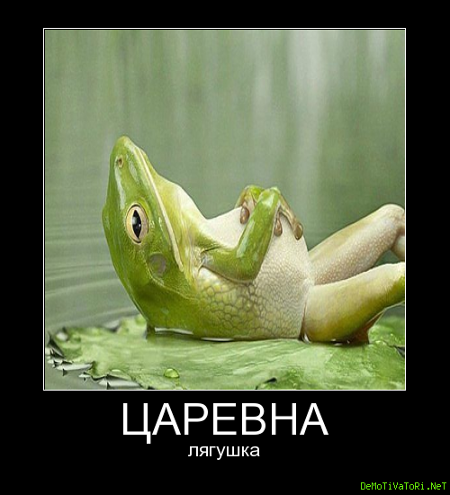 Лягушка демотиватор