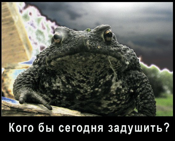 Жаба душит
