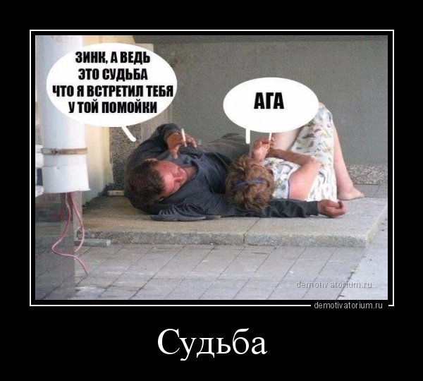 Шутка судьбы
