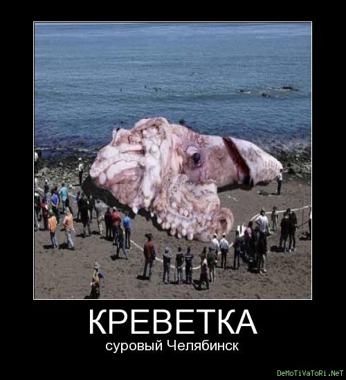 Креветка демотиватор
