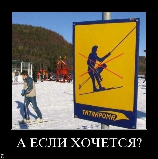 Горные лыжи демотиватор