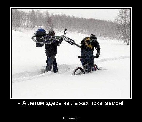 Горные лыжи демотиватор