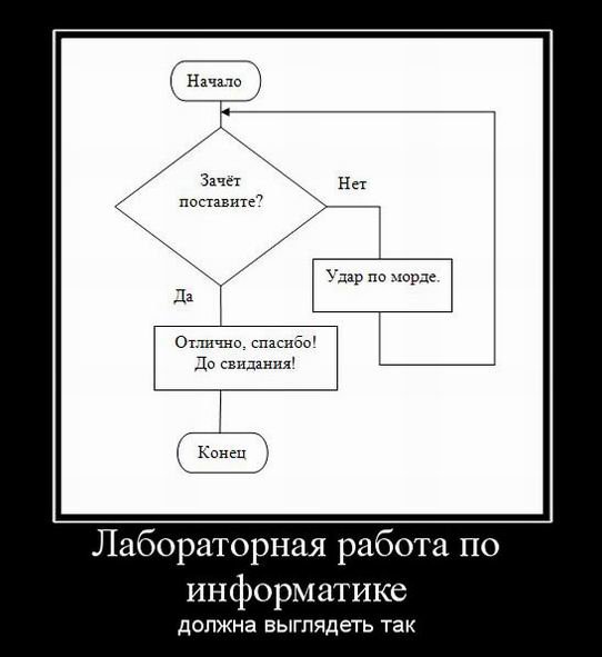 Информатика приколы