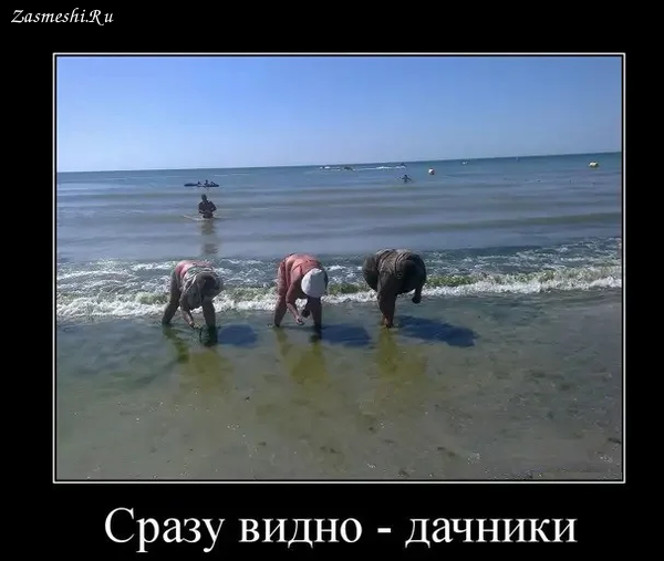 Лучше плохой мир чем хорошая война