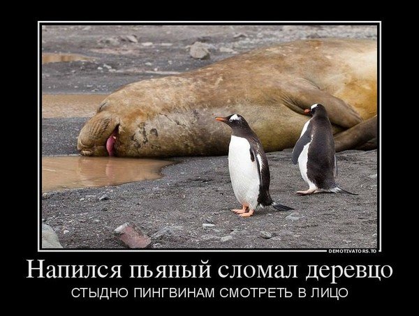Жизненный опыт