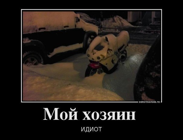 Мой хозяин дебил картинки
